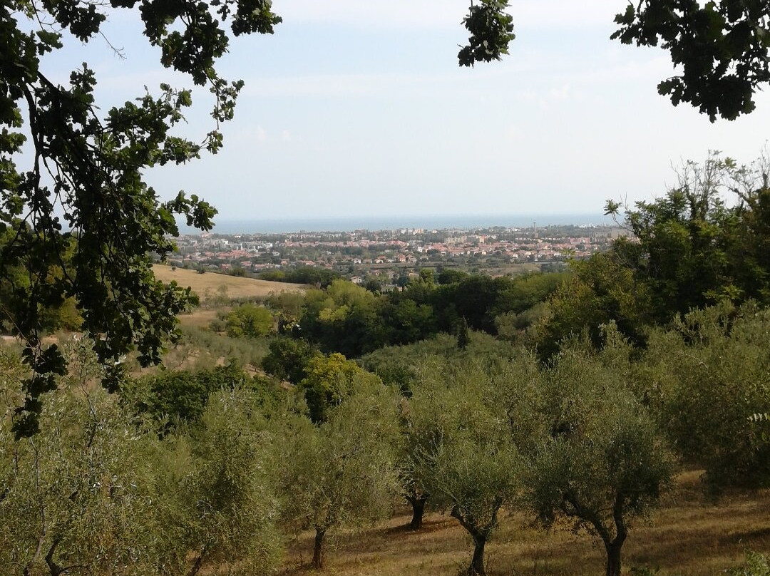 Villa Mariotti/Agriturismo Monte Giove主图