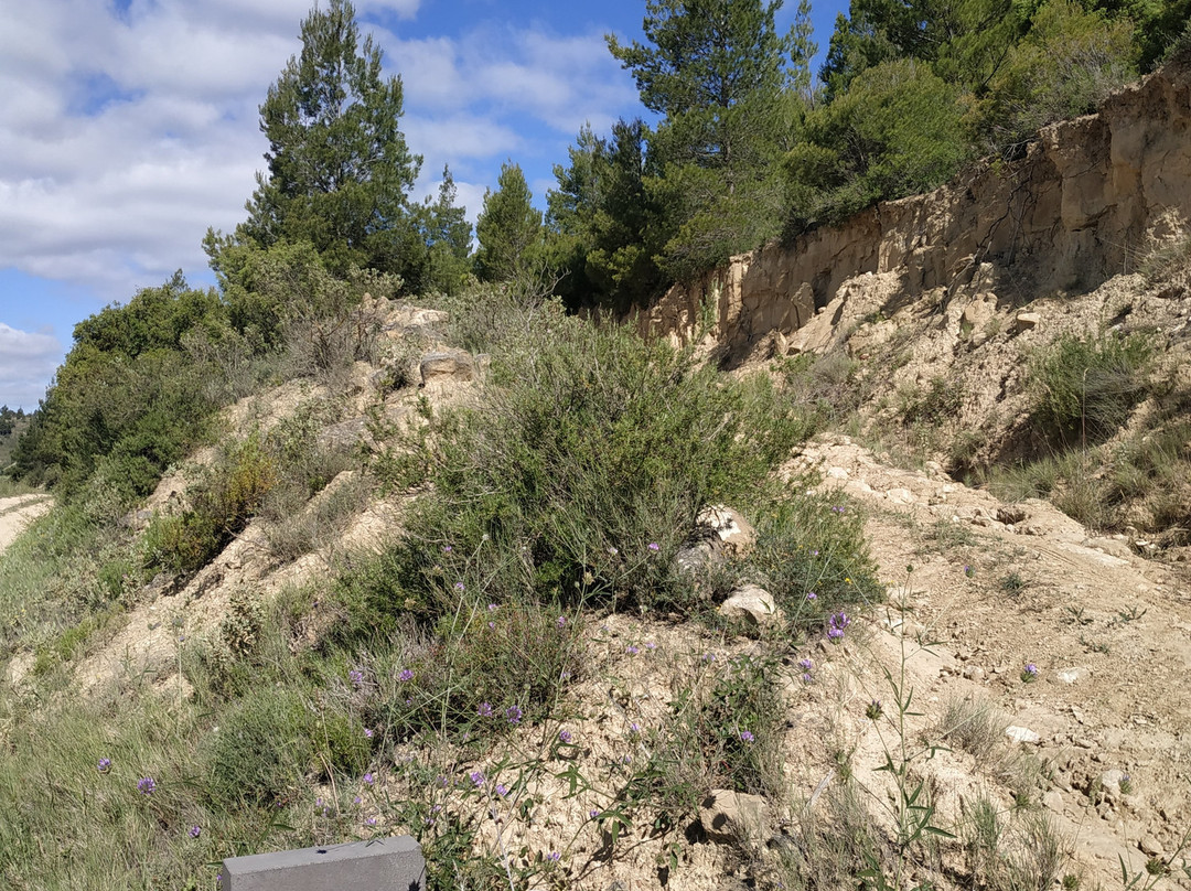 Casa Rural Osante主图