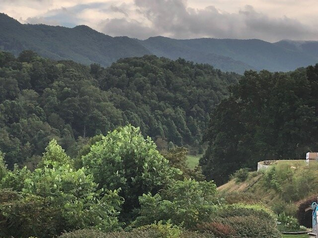 Best Western Smoky Mountain Inn主图