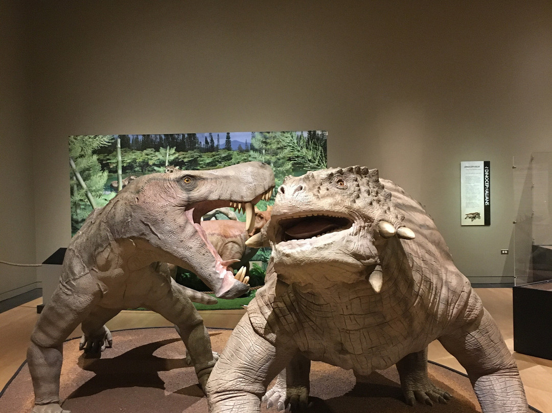 Sam Noble Oklahoma Museum of Natural History景点图片