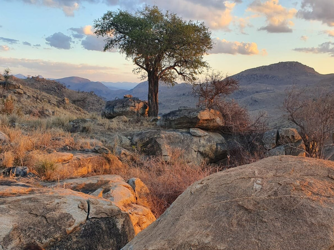 Wolhuter Wilderness Trail-克鲁格国家公园必去景点