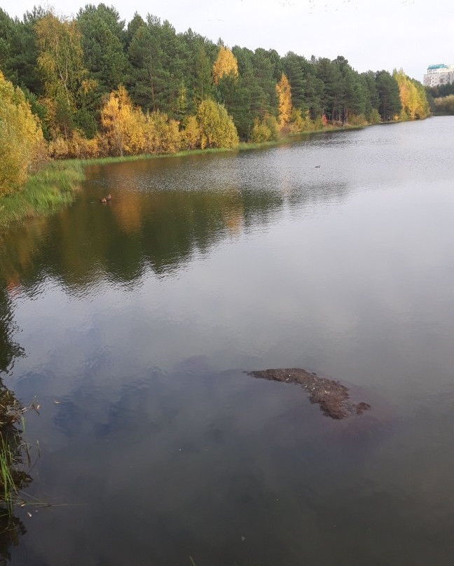 Sayma Park-Surgut必去景点