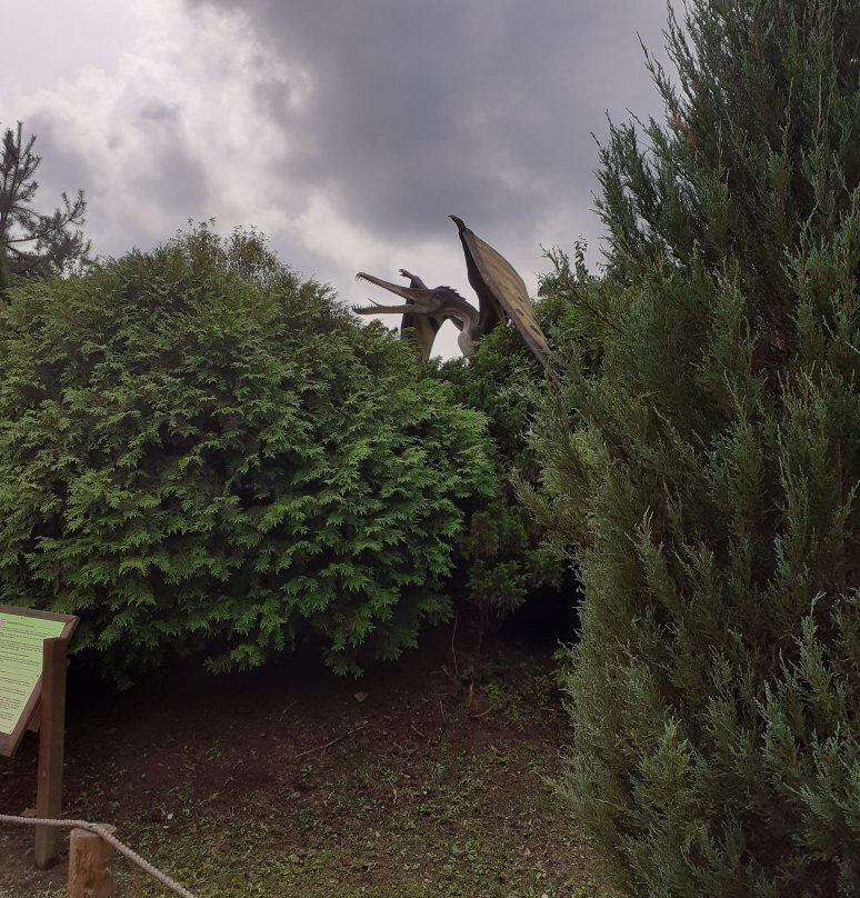 Jurajski Park Dinozaurów Muzeum Dziejów Ziemi景点图片