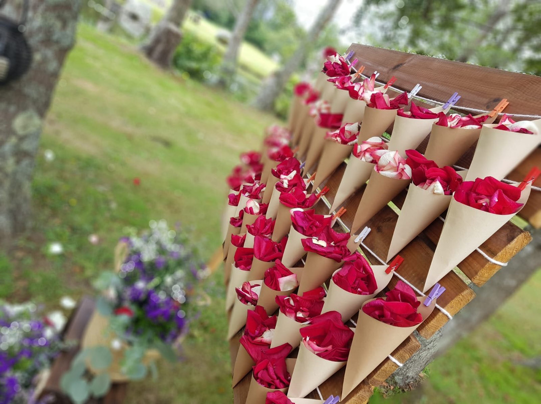 Finca Galea-Alfoz必去景点