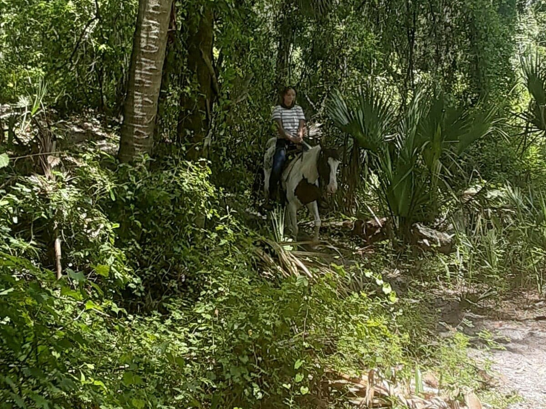 Skunkie Acres, Inc'-Citra必去景点