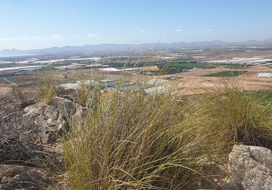 Escultura Virgen De Loreto-San Cayetano必去景点