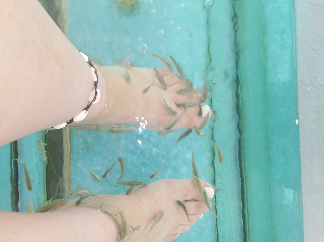 Aqua Marine Fish spa景点图片