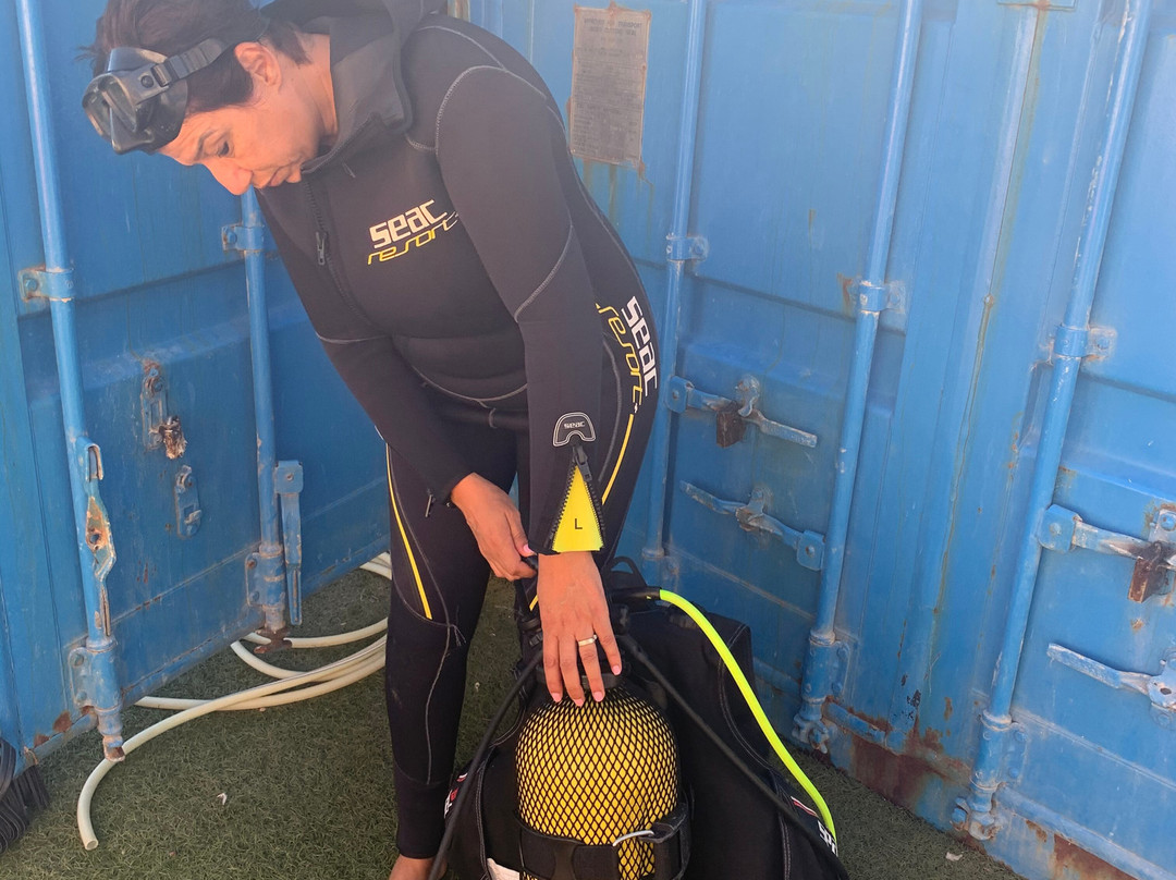 Moroccan Diving Center-Al Hoceima必去景点