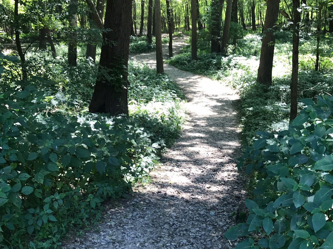 Fox Ridge State Park景点图片