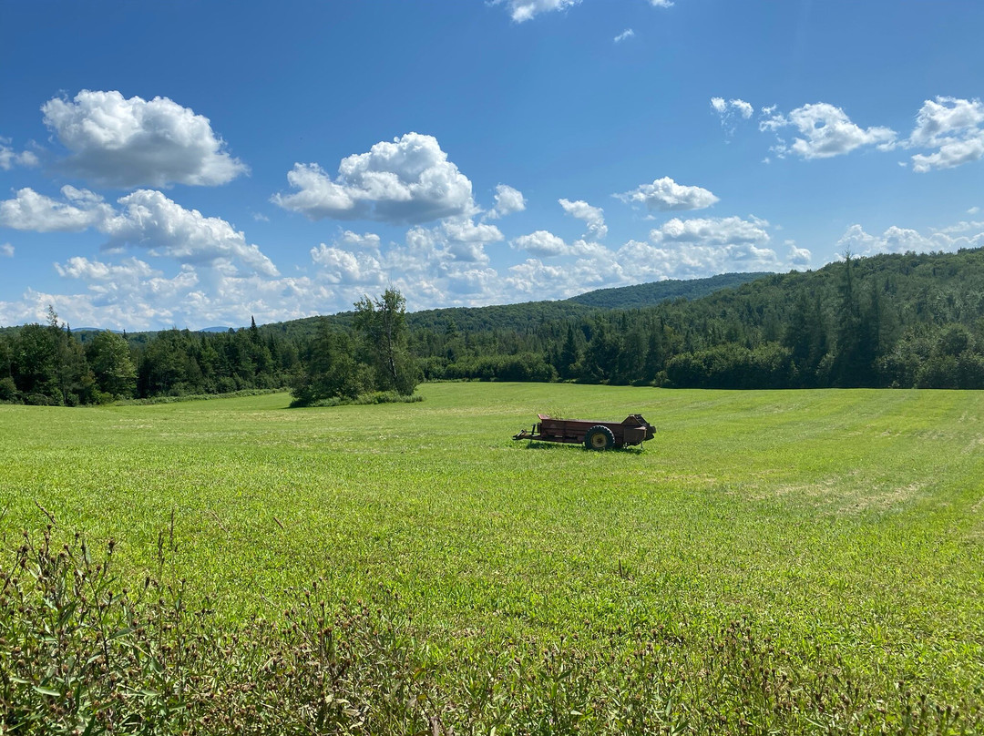 Alpagas Sutton-Sutton必去景点