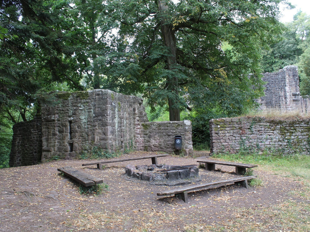 Castle Waldeck景点图片