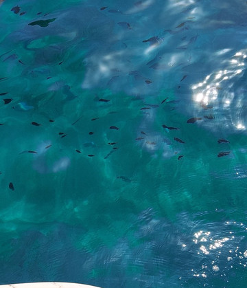 CST Tropea-特罗佩阿必去景点