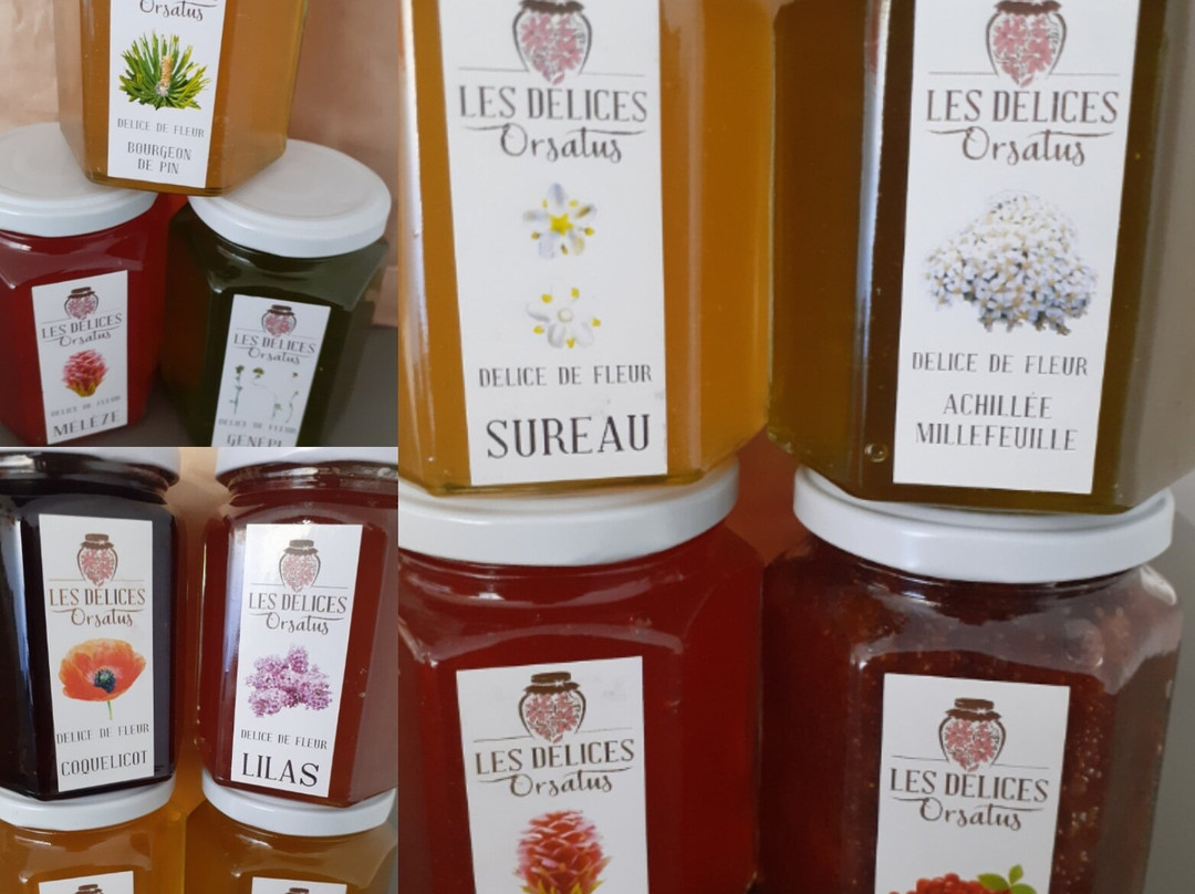 Hôtel Les Gardettes主图