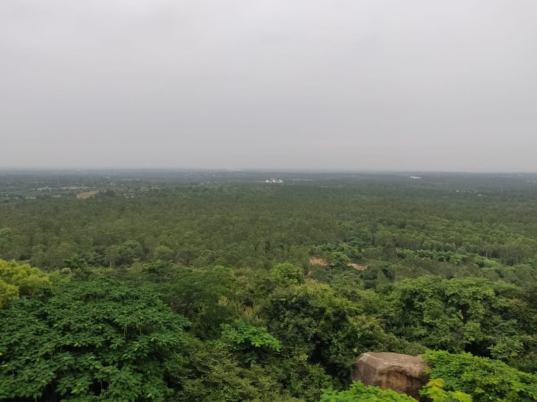 Markandeya Hill景点图片