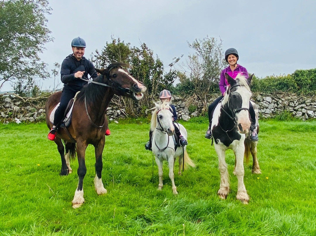 Drumcliffe Equestrian-恩尼斯必去景点