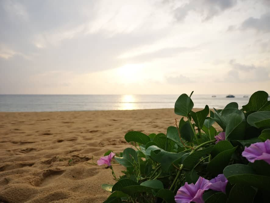 1511 Coconut Grove主图