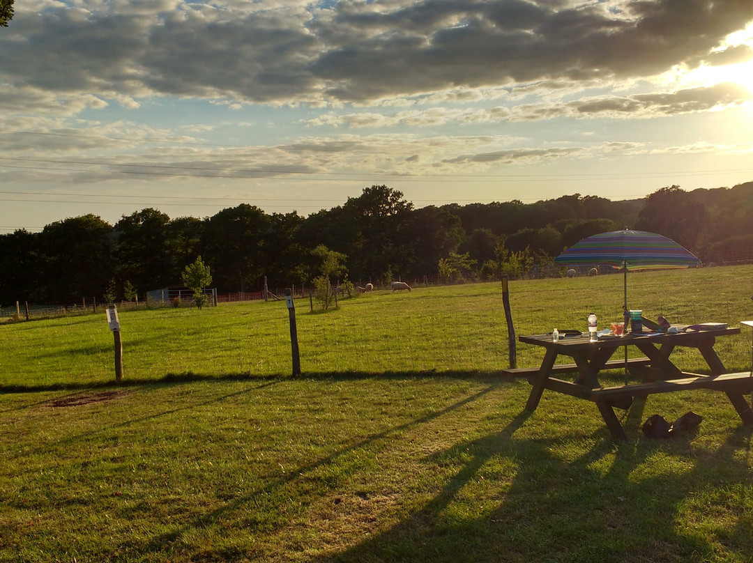 Idle Hours Owlsbury Park