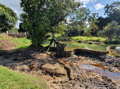 Mena Creek Falls-米娜溪必去景点