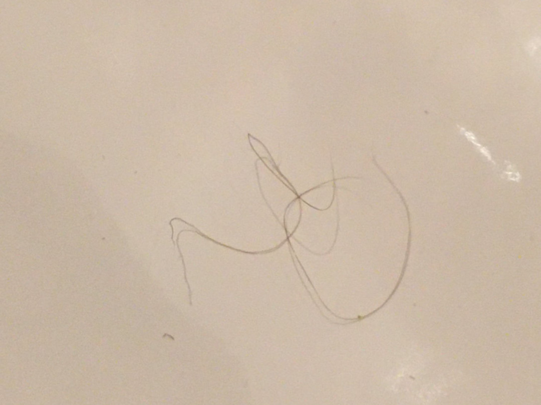 Van der Valk Hotel主图