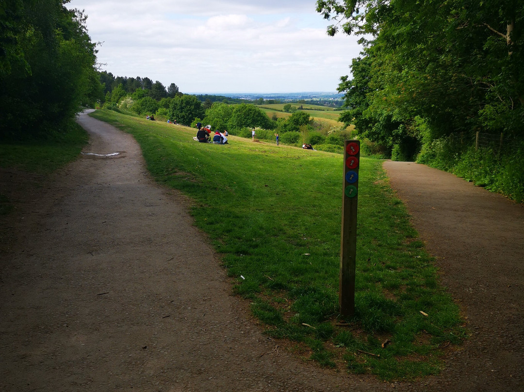 Hartshill Hayes Country Park-纽尼顿必去景点