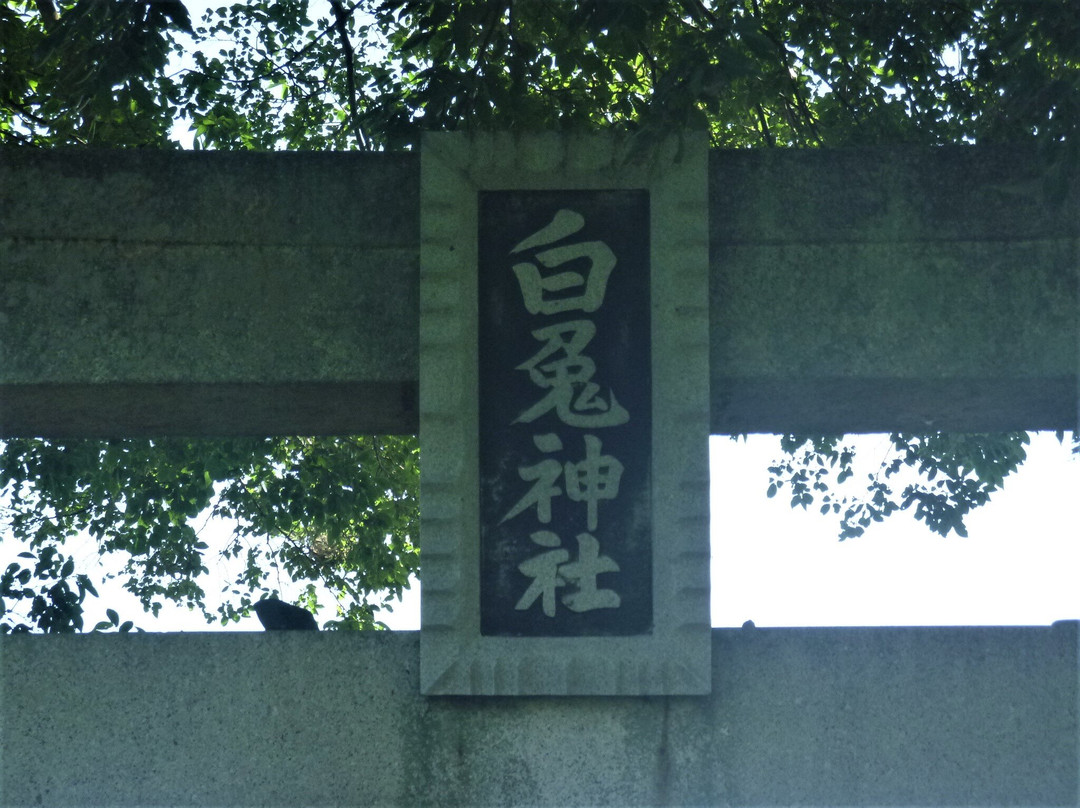 Fukumoto White Rabbit Shrine景点图片
