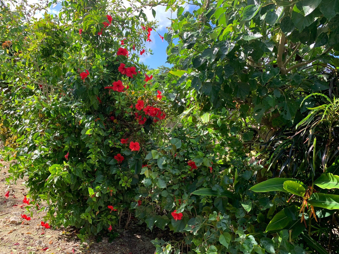 Anei Kanko-石垣市必去景点