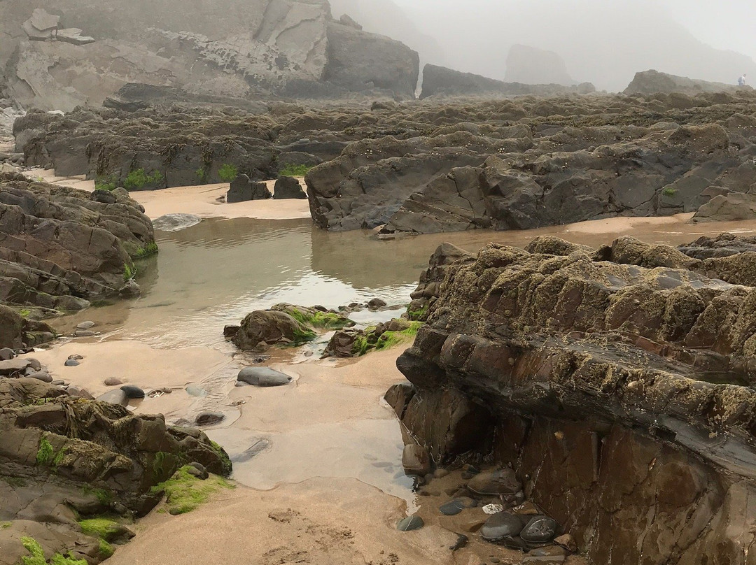 Northcott Mouth Beach-Poughill必去景点