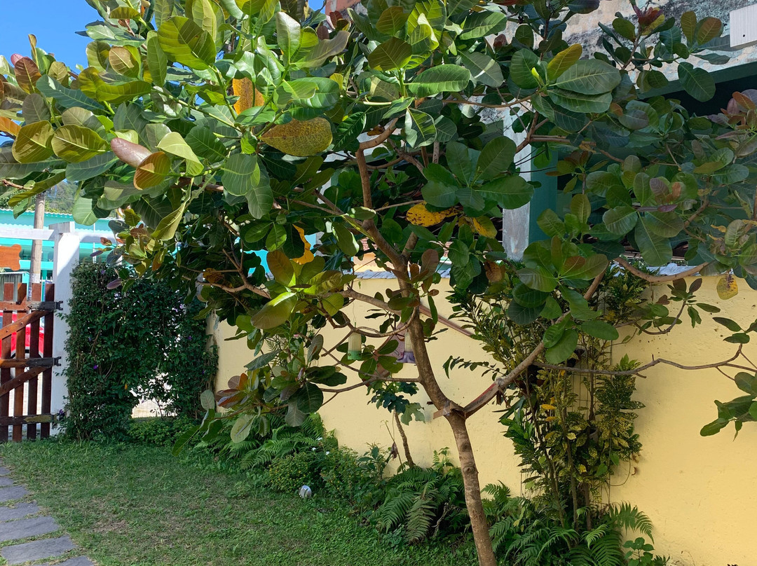 Pousada Vó Irene主图