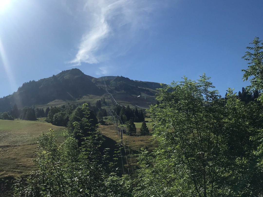 Logis Hôtel La Cremaillère主图