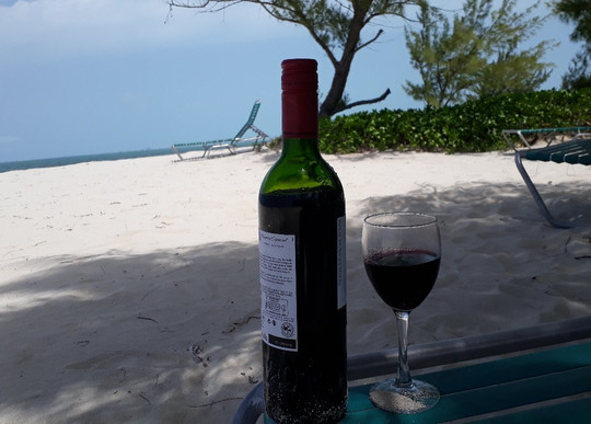 Best Day Tours-普罗维登西亚莱斯必去景点