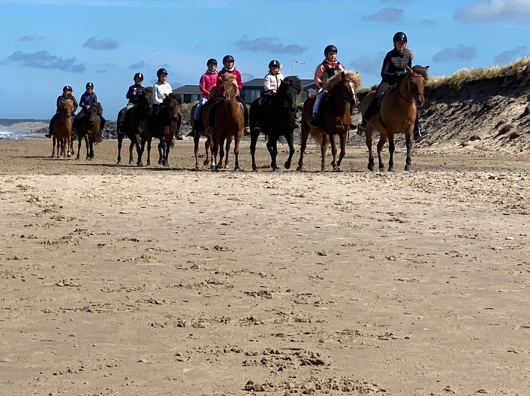 Skallerup Seaside Resort景点图片