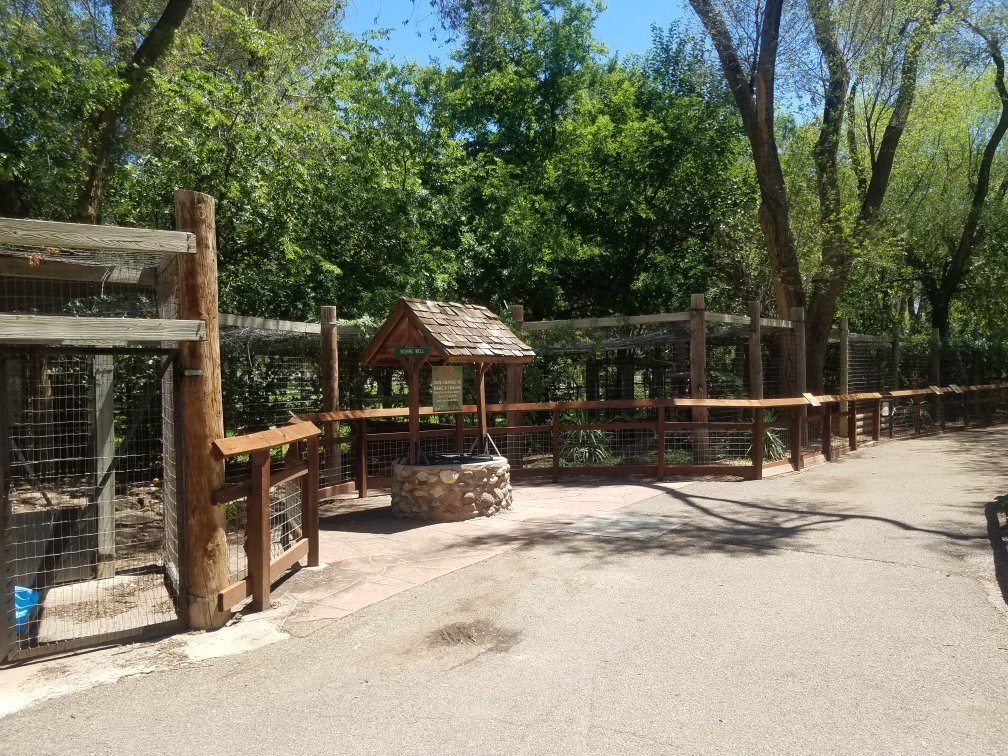 Amarillo Zoo-阿马里洛必去景点