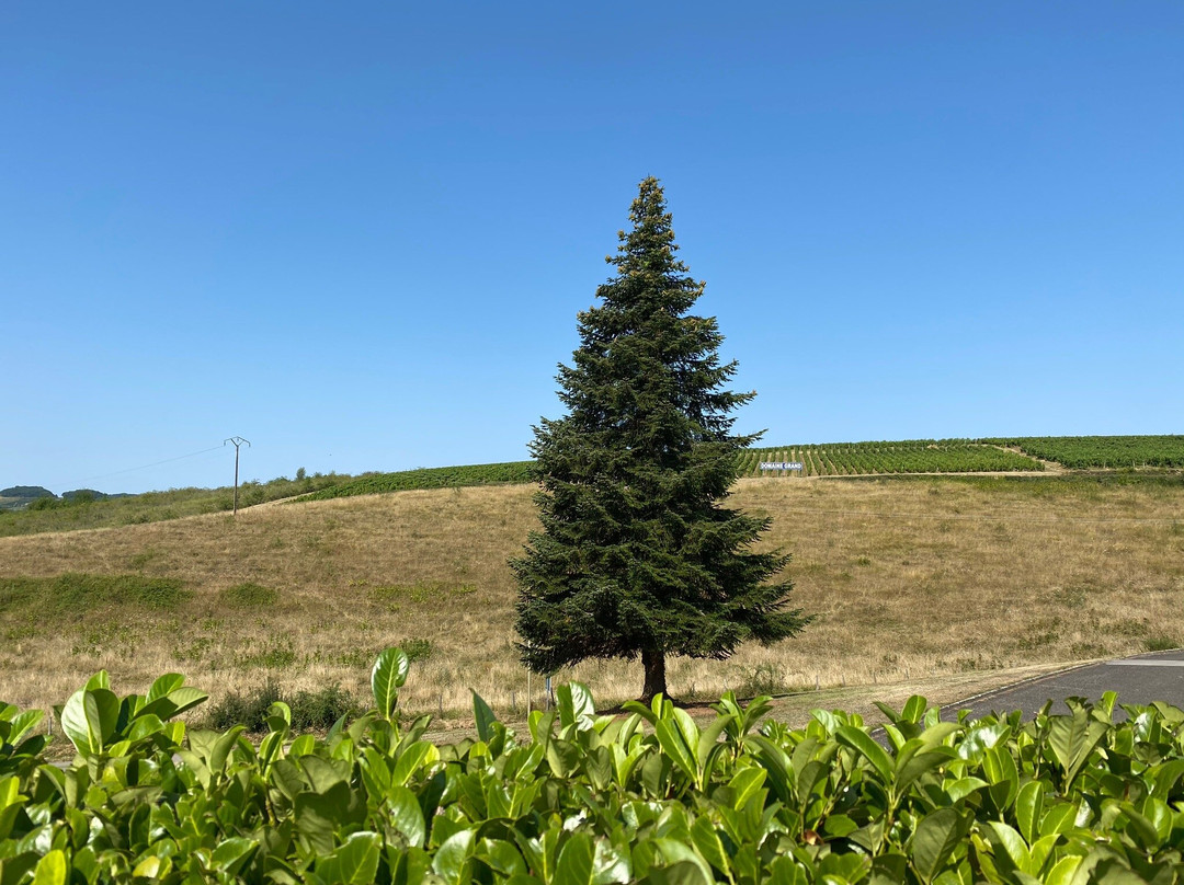 Logis Domaine du Revermont主图