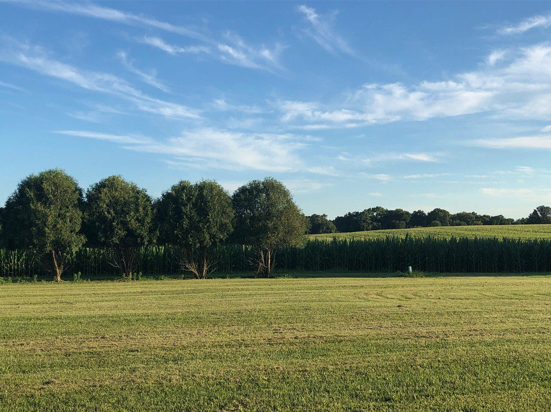 Kickapoo Creek Winery-Edwards必去景点