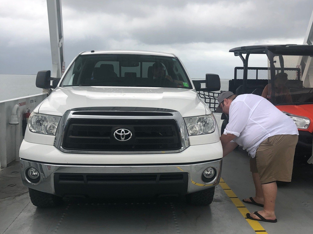 Davis Shore Ferry Service景点图片