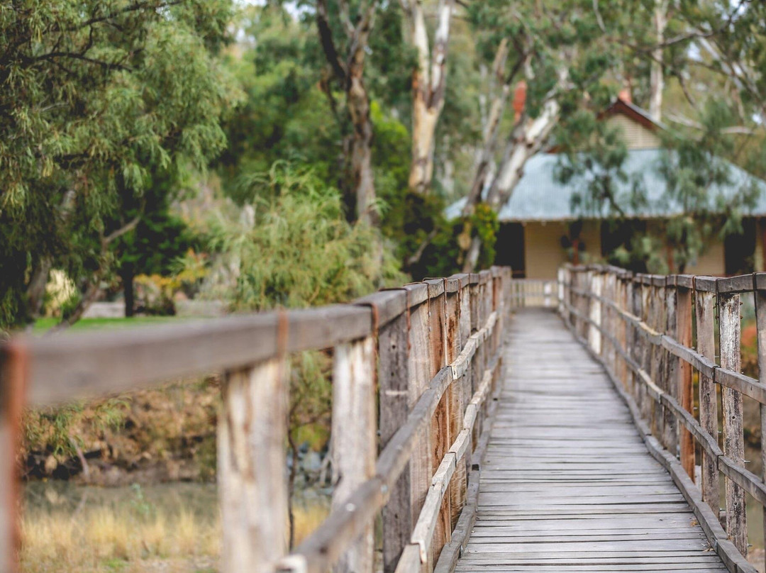 Moulamein River Walk