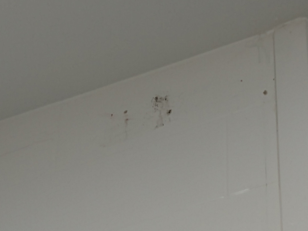 Hampton Inn & Suites Amarillo-east主图