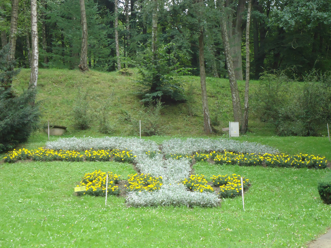 Park Zdrojowy景点图片