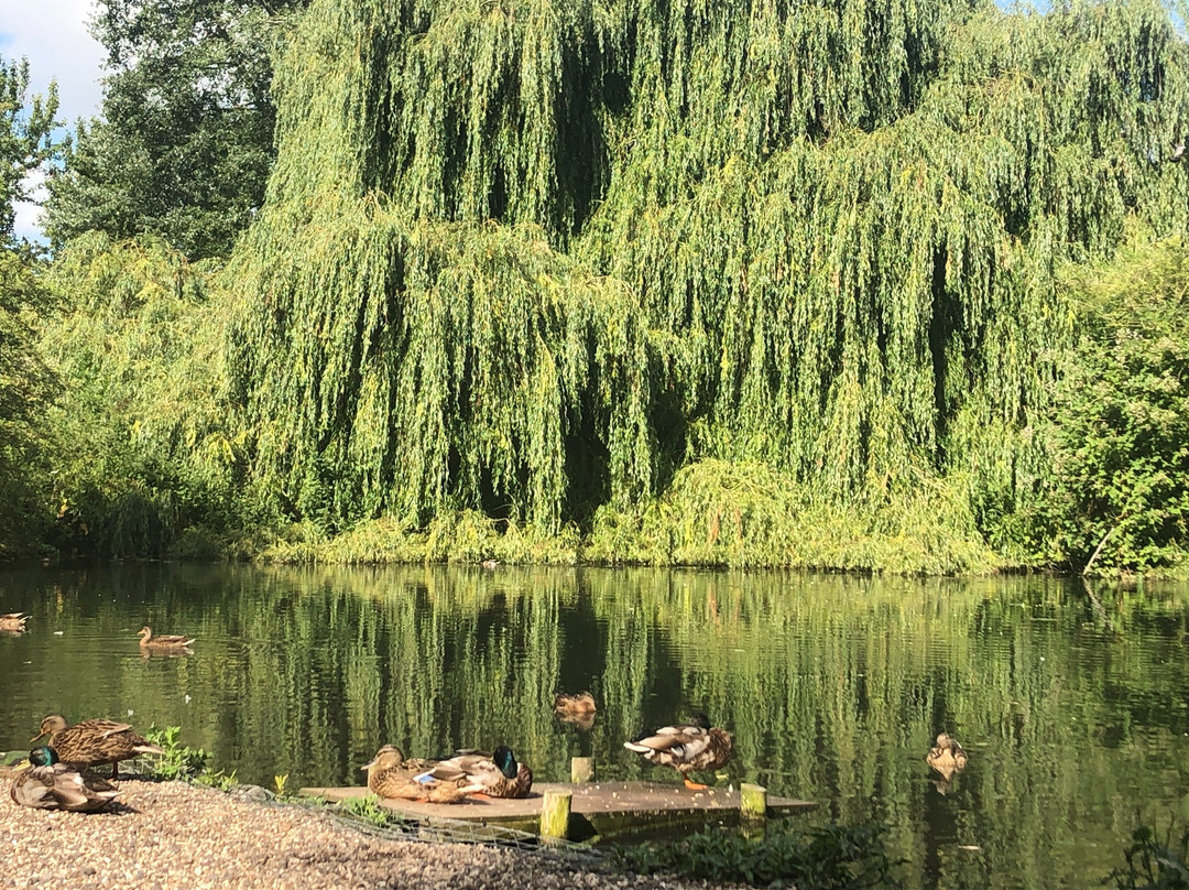 River Walk景点图片