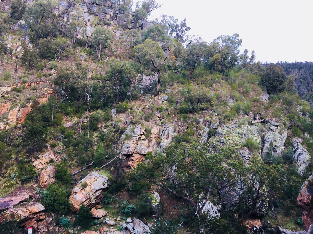 McKenzies Falls-哈密尔顿必去景点