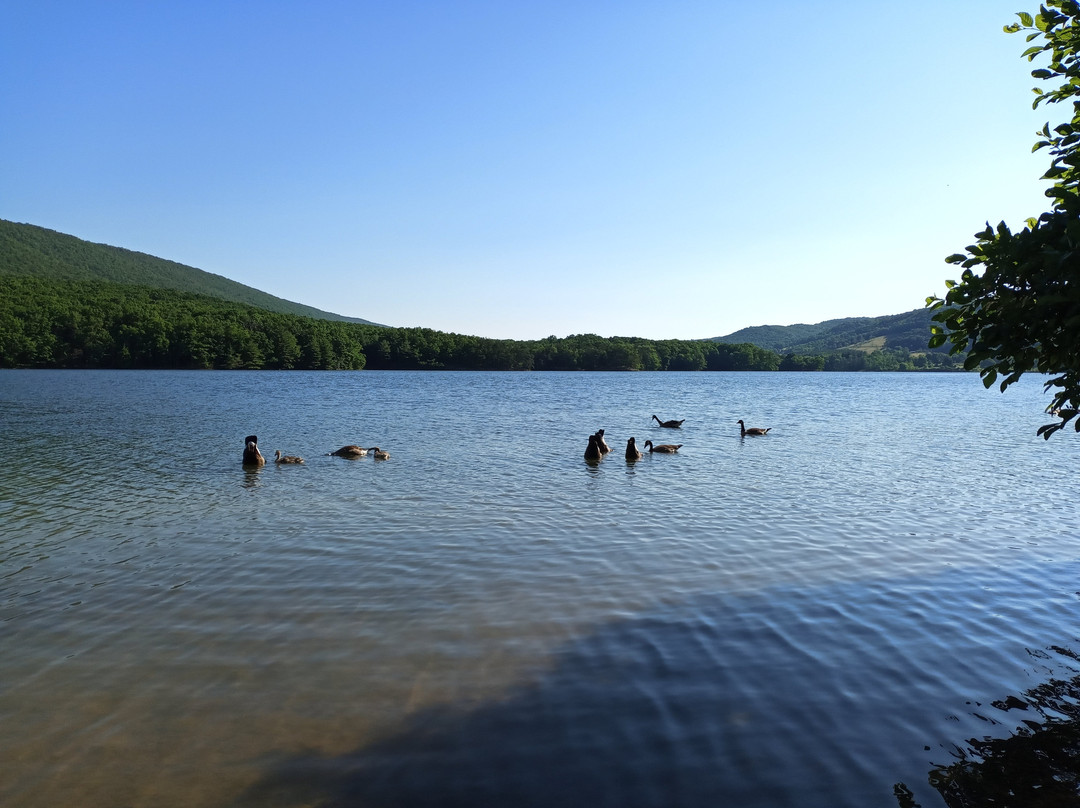 Rocky Gap Casino, Resort & Golf-Flintstone必去景点