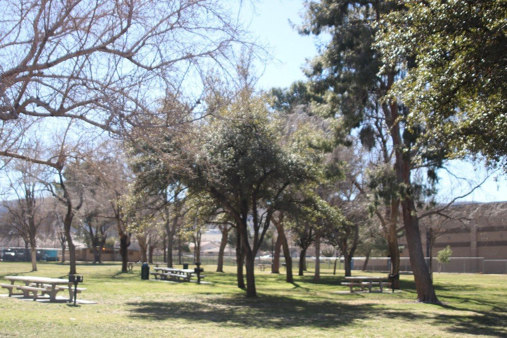 George Lane Park-Quartz Hill必去景点