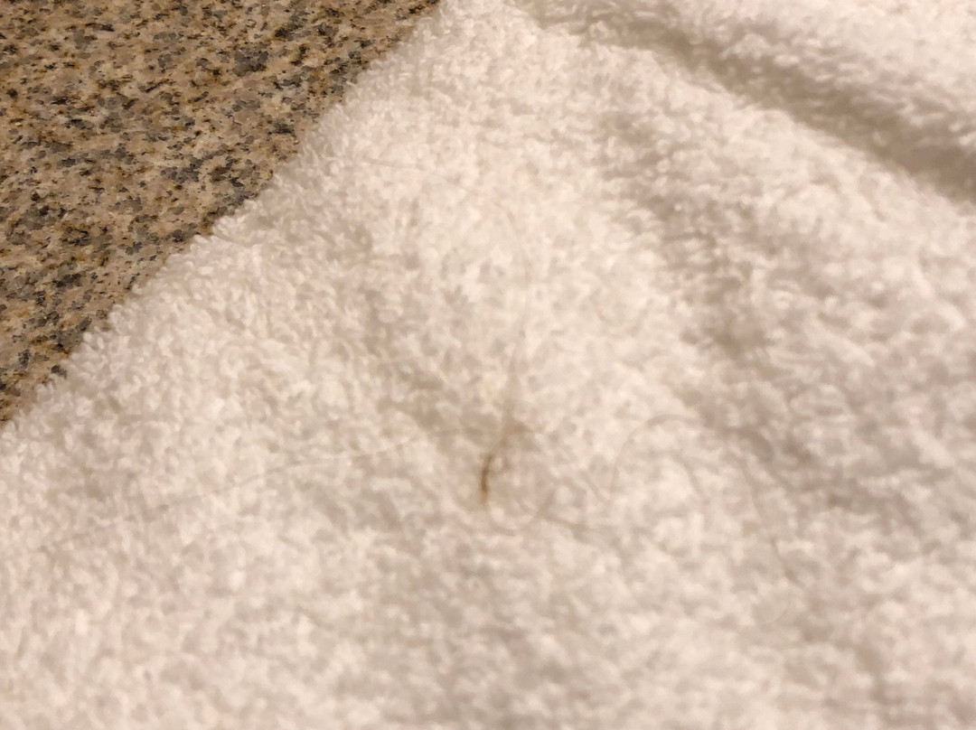 Days Inn by Wyndham North Mobile主图