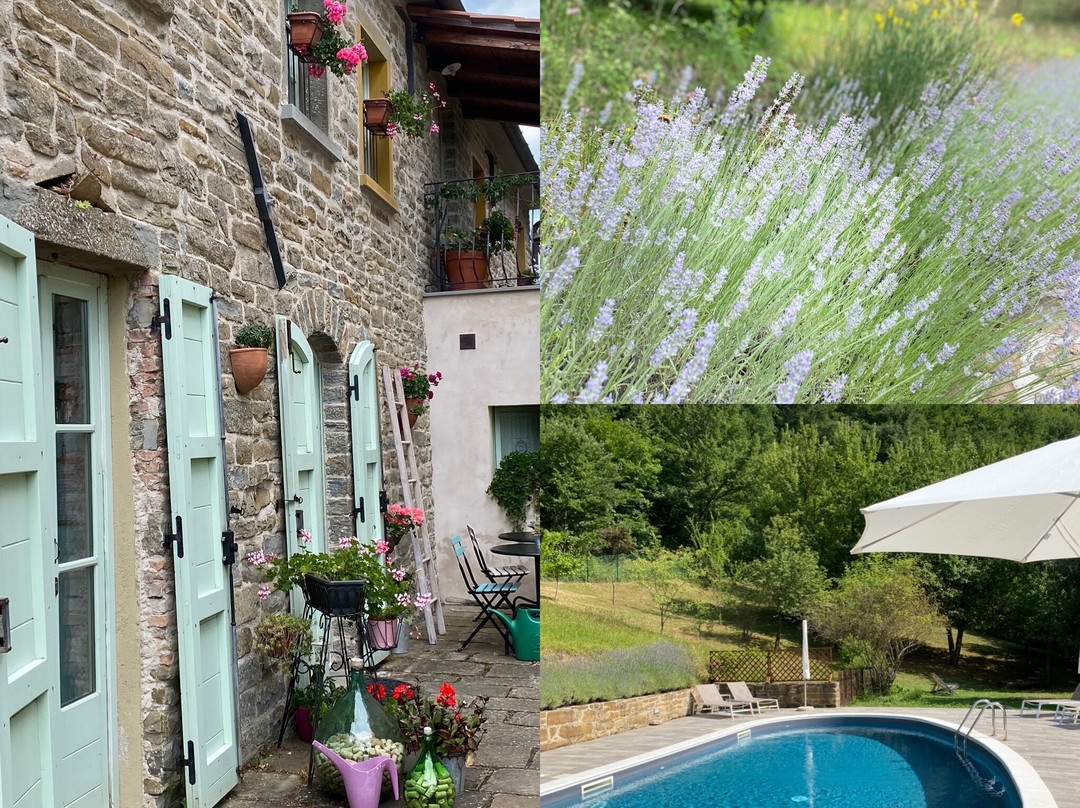 Ca' Paravento B&B e Country House主图