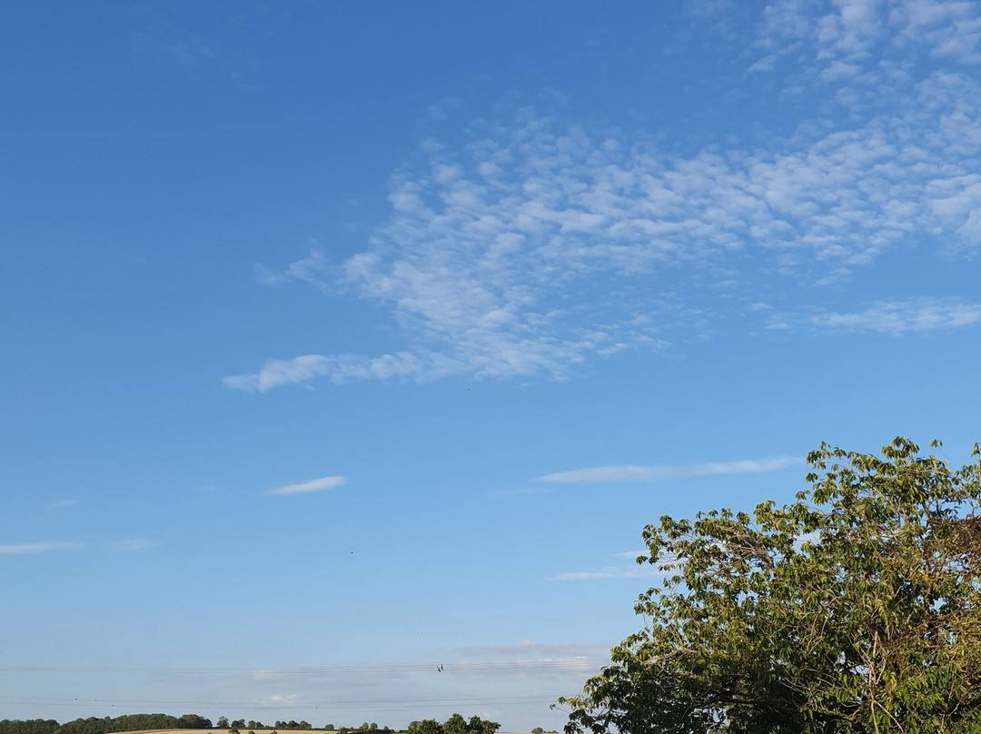 Willow Tree Farm Holidays主图