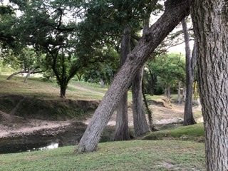 The Meyer Hotel主图