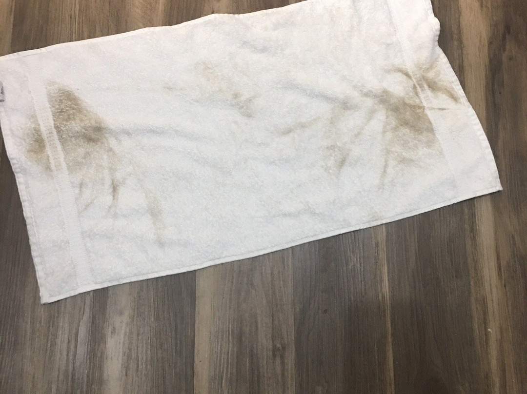 Holiday Inn Express & Suites Hiawassee By IHG主图