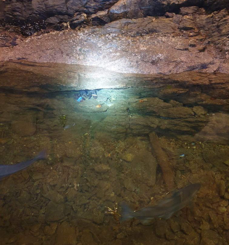 Hummerparken - Espevær-Espevaer必去景点