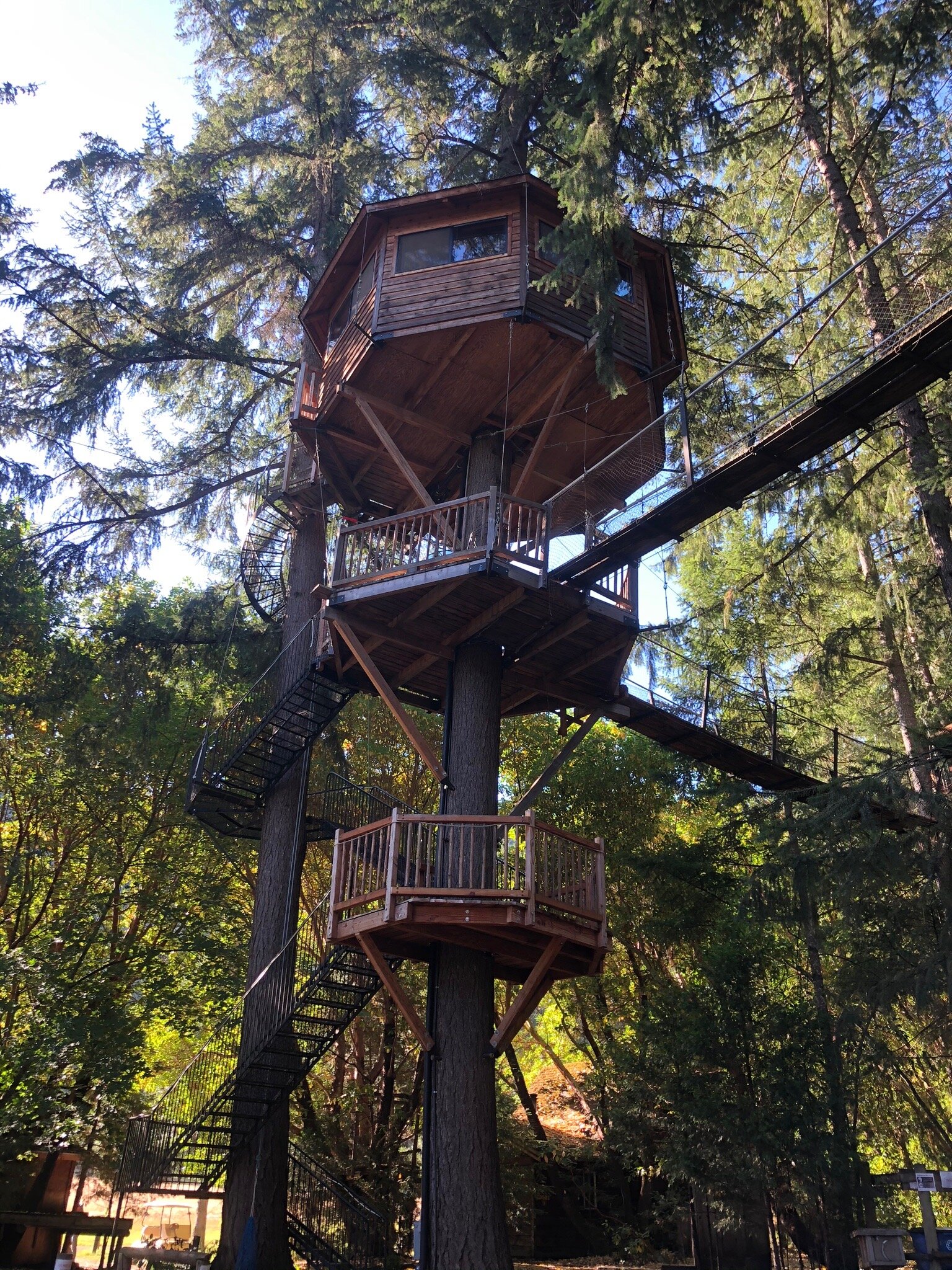 Out 'n' About Treehouse Treesort-官方