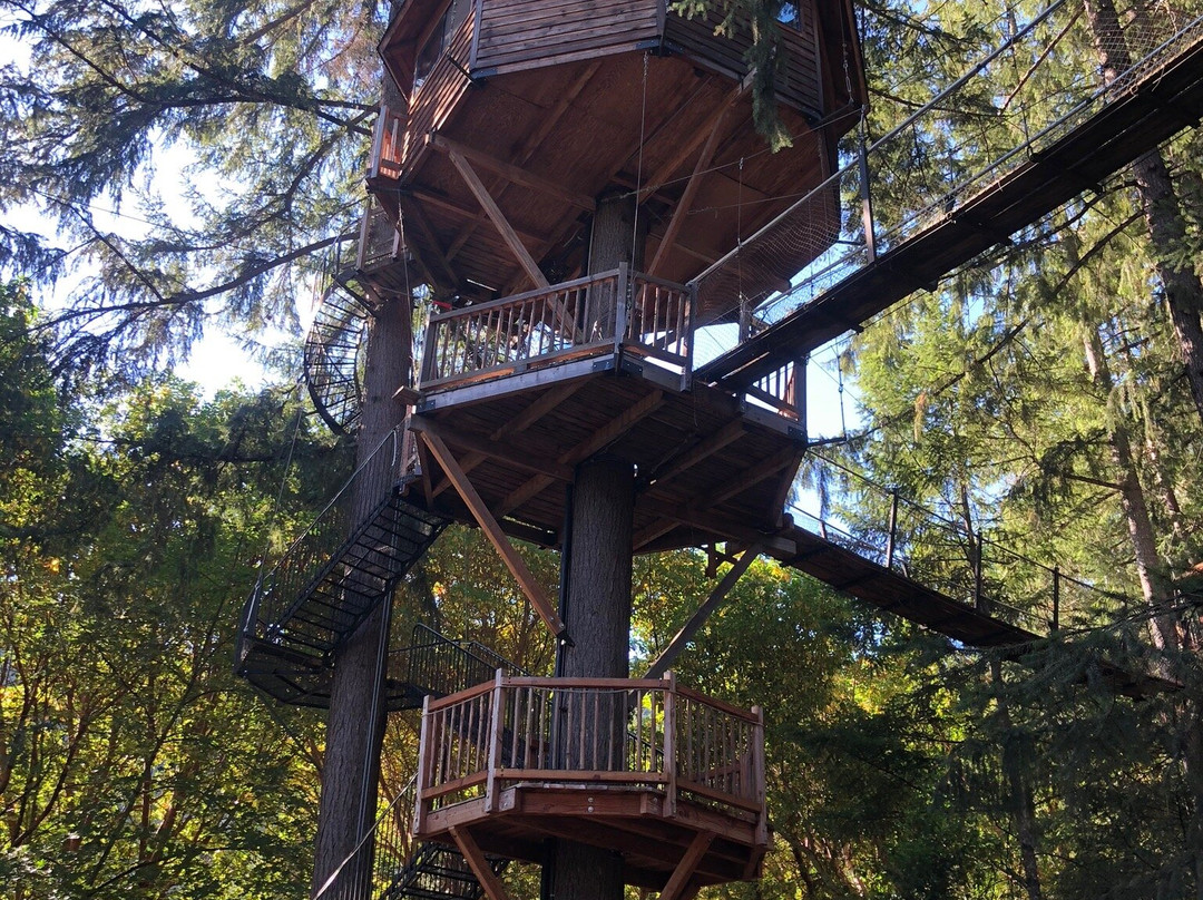 Out 'n' About Treehouse Treesort主图